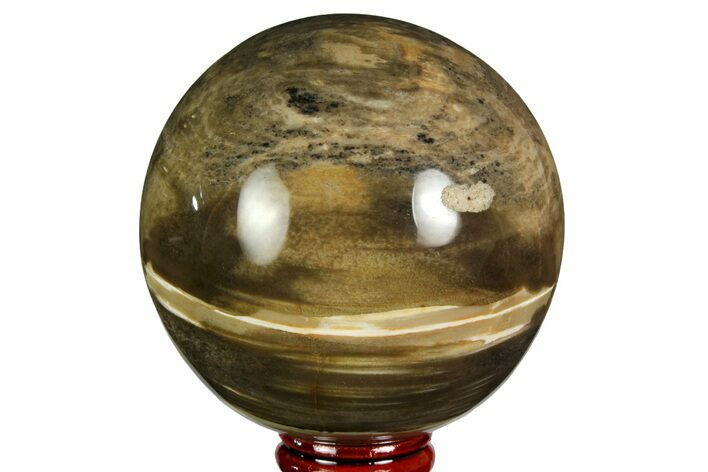 Polished Petrified Wood Sphere - Madagascar #169145